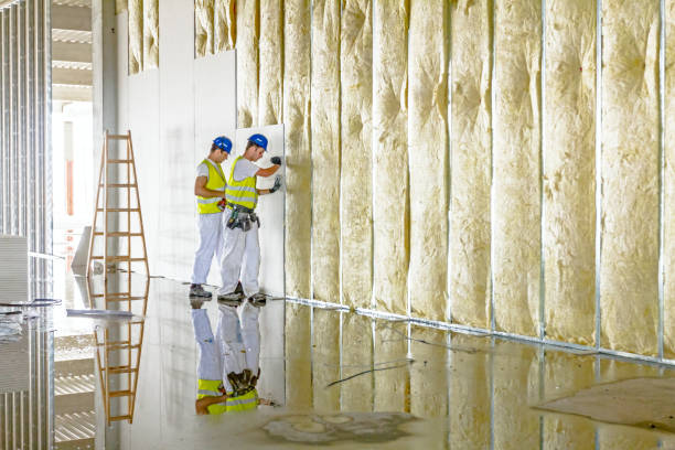 Best Insulation Installation Services in Campbellsport, WI